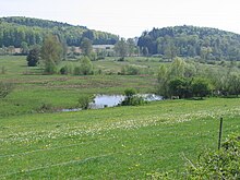 Blick auf das Hepbacher-Leimbacher Ried