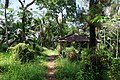 * Nomination Trail and a pavilion in the forest on Dagi Hill near Borobudur temple, Central Java, Indonesia --Jakubhal 12:29, 19 February 2023 (UTC) * Promotion Nice. There seems to be some CA, e.g. in the upper left, can you remove? --NorbertNagel 15:19, 19 February 2023 (UTC)  Done I fixed as much as I could find. --Jakubhal 14:54, 19 February 2023 (UTC) Good quality now. --NorbertNagel 18:29, 20 February 2023 (UTC)