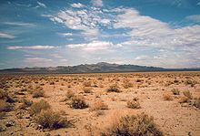 A desert with a cloudy blue sky. Sporadic weedy plants are growing in the dirt, and a mountain range is visible in the background.