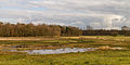 Delleboersterheide – Catspoele Natuurgebied van It Fryske Gea. Omgeving van het heideveld.