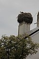 Deutsch: Storchennest auf einem Haus im Zentrum von Deutschkreutz