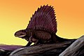 Dimetrodon, um réptil pelicossauro.