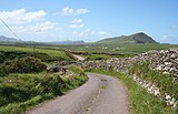 Winding tarmac road disappearing over a crest, surrounded by rolling green fields and dry stone walls. In the distance is a sea bay surrounded by hilly outcrops.