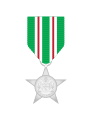 Disciplined Services Star for Distinguished Service - Fire Service (Guyana).svg