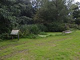 The pond life pool at Donington and Albrighton Nature Reserve