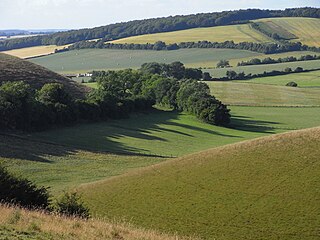 Henwood Down