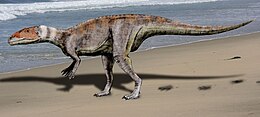 A Dubreuillosaurus rekonstrukciója