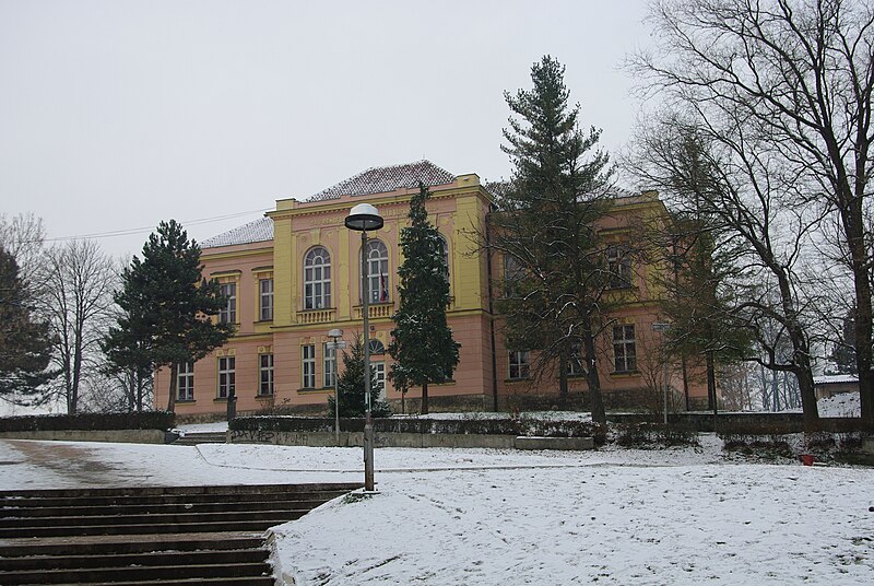 File:Elementary school Anta Bogicevic in Loznica.JPG