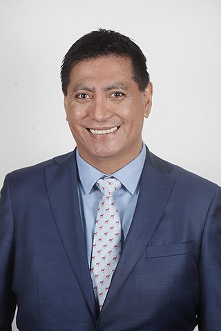 <span class="mw-page-title-main">Enrique Lee</span> Chilean politician