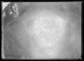 Falkernerarpuka av brons, syrisk-egyptisk, ca 1300, äldsta bevarade exemplaret - Livrustkammaren - 8903.tif