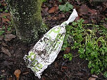 Filled PeePoo bag after about one month in the soil of a garden in Germany Filled PeePoo bag after about one month in the soil of a garden in Germany (November 2008) (3093759800).jpg