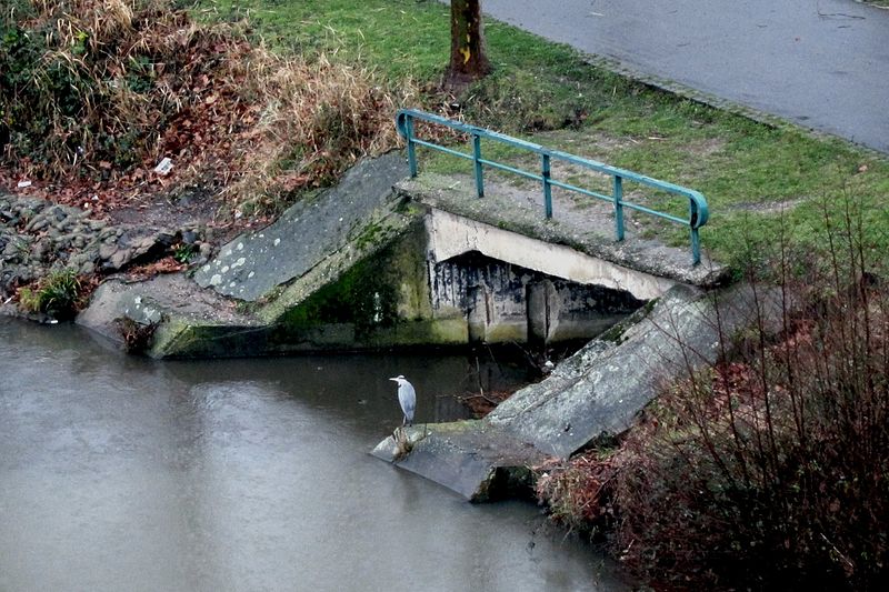 File:FischbachMuendung.JPG