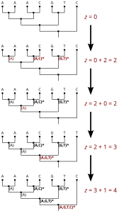 Fitch's algorithm for a rooted tree