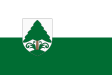 Fenyőfő zászlaja
