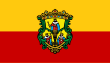 Vlag van Morelia