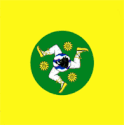 Sărata-Galbenă - Flag