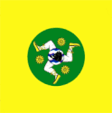 Sărata-Galbenă - Drapeau