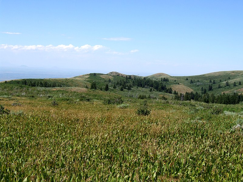 File:Flat Top - panoramio.jpg