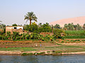 Flickr - archer10 (Dennis) - Egypt-4C-036.jpg