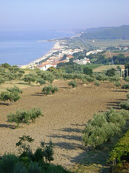 Veduta del campo di ulivi e di Fossacesia Marina dal promontorio dell'abbazia