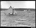 Four yachts racing on Sydney Harbour (8121278754).jpg