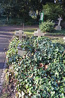 Frankfurt, main cemetery, grave C 98 Weigand-Kiefer.JPG