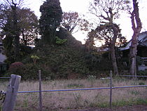 浅间神社（流山市）的富士冢（流山富士）