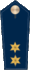 Blue epaulette with 2 golden stars