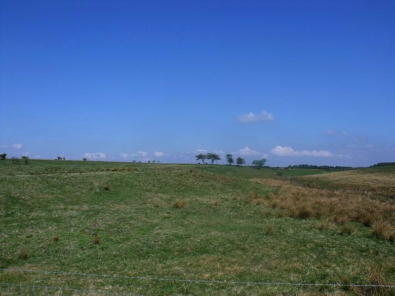 File:Garbethill Muir - geograph.org.uk - 2390582.jpg