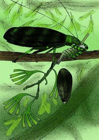 <span class="mw-page-title-main">Titanoptera</span> Extinct order of insects