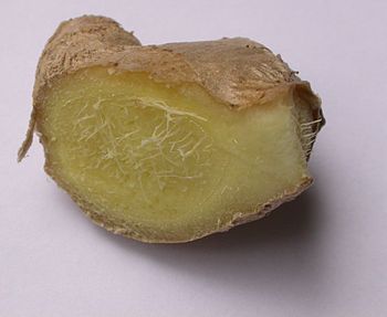 Cross-section of a relatively young ginger root