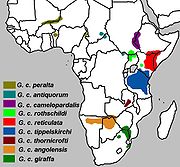 Distribución de las subespecies