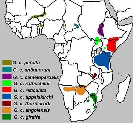 Giraffa camelopardalis subspecies map.jpg