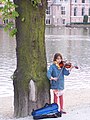 Child violin player in The Netherlands