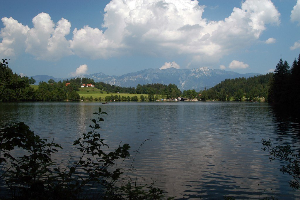 Die see