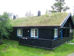 Turf roof in Norway
