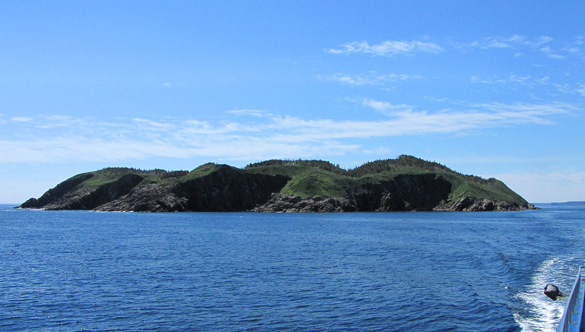 Witless Bay Ecological Reserve Wikipedia