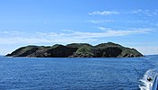 Gull Island, dat aan de rand van Witless Bay ligt, is goed zichtbaar vanuit het dorp