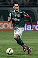 File:Palmeiras-campeao-paulista-2022-2.jpg - Wikimedia Commons