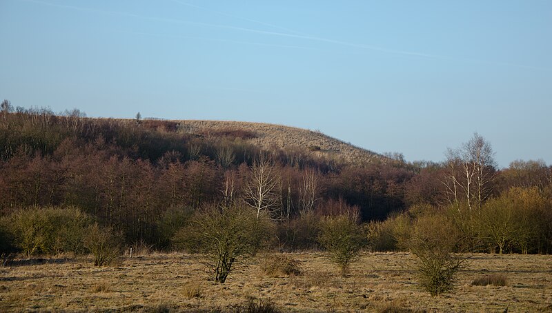 File:Höltigbaum frühere Mülldeponie.jpg