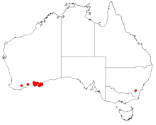 Hakea adnataDistMap3.png