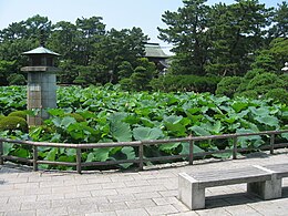 Hakusan Park 3.JPG