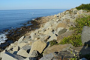 View of the ocean