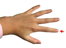 Hand - Index finger.jpg