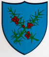 Kommunevåpenet til Les Hauts-Geneveys