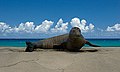 Hawaiian-Monk-Seal.jpg