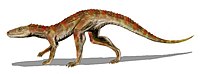 Hesperosuchus agilis Hesperosuchus BW.jpg