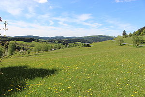 View from the southern slope of the Spreitzkopf at K 36 (right) to Halberg (center left) and Burgberg (back right)