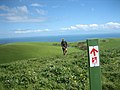 Heysen Trail a bit further along.