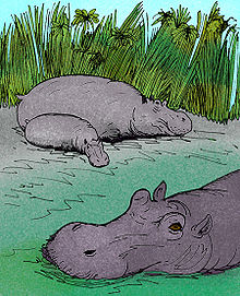 Hippopotamus gorgops e.jpg